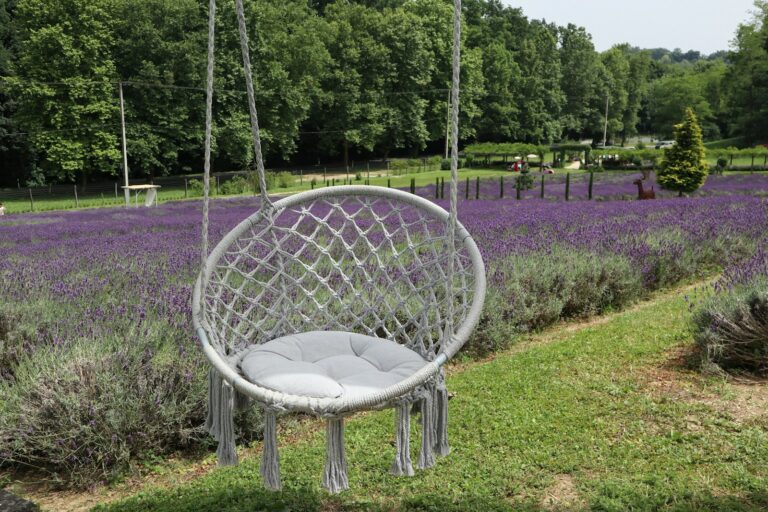 A white chair sitting in a field of lavender
